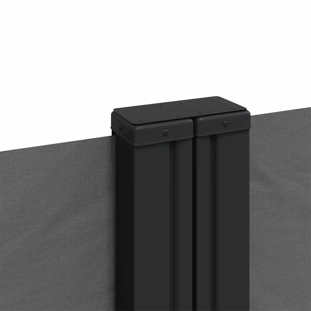 Tenda da Sole Laterale Retrattile Antracite 100x1000 cm | homemem39