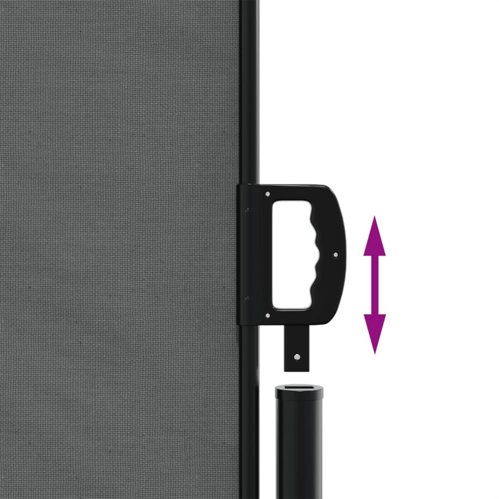 Tenda da Sole Laterale Retrattile Antracite 160x1000 cm | homemem39