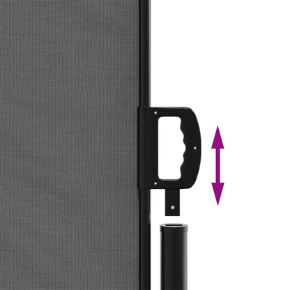 Tenda da Sole Laterale Retrattile Antracite 160x1000 cm | homemem39