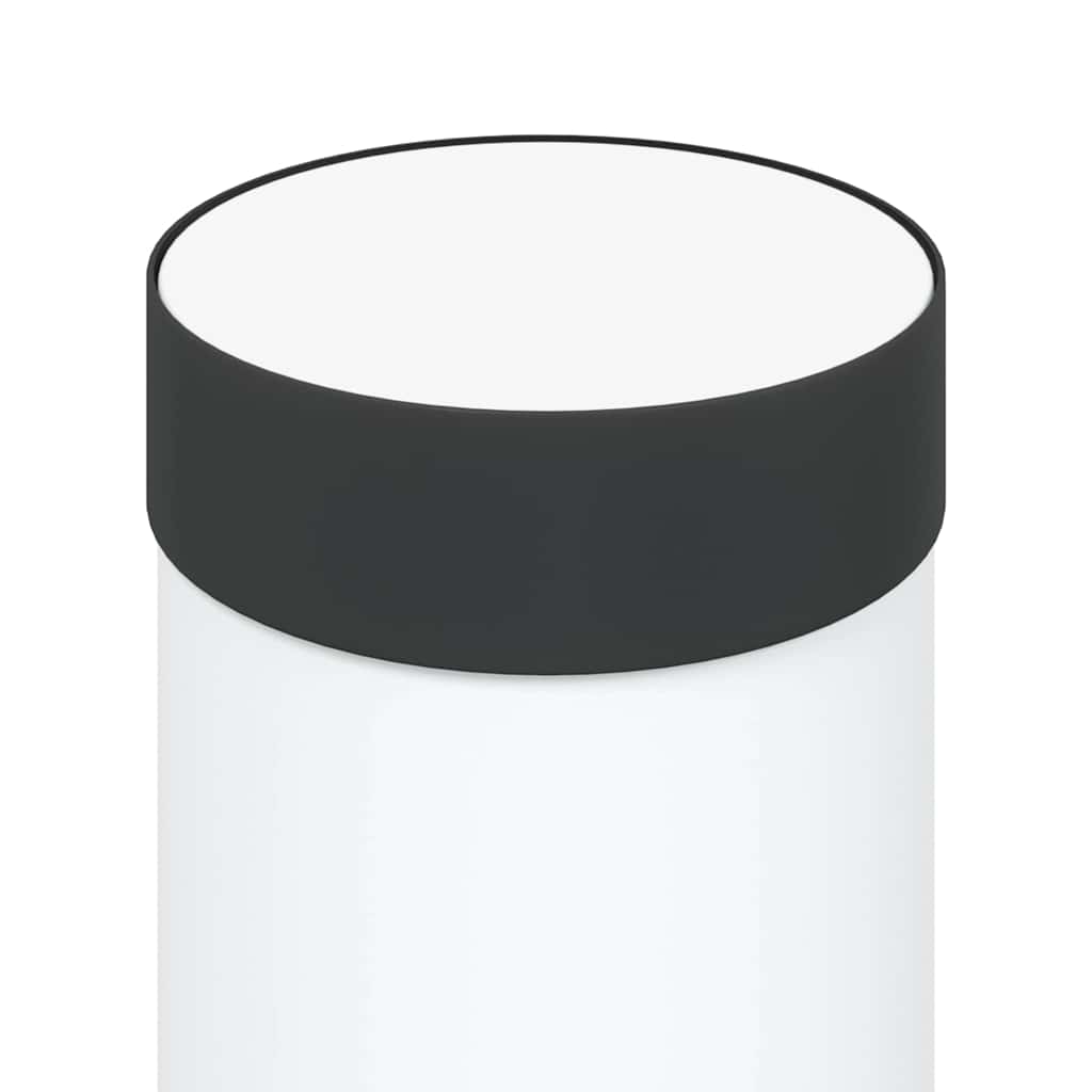 Lampada a paletto con presa elettrica 50 cm Acciaio Inox IP44