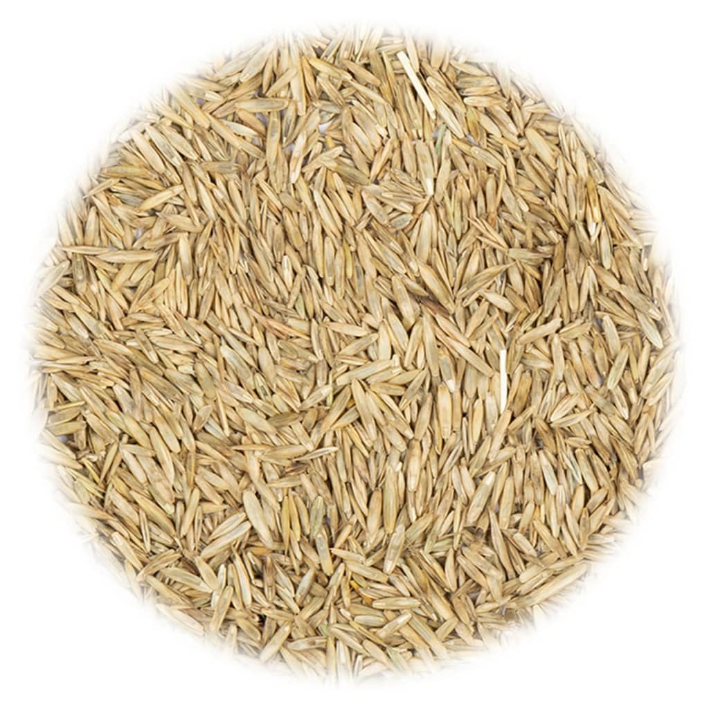 Grass Seeds for Hot and Dry Areas 30 kg