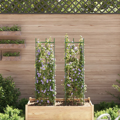 Sostegno per Pomodori 2pz 116 cm in Acciaio e PP