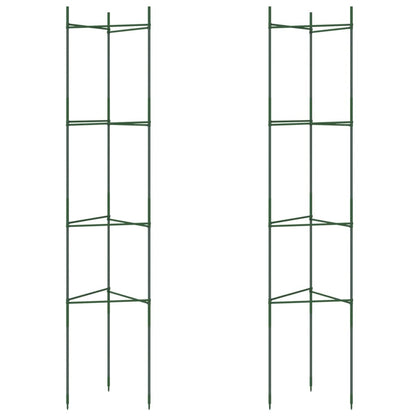 Sostegno per Pomodori 2pz 154 cm in Acciaio e PP