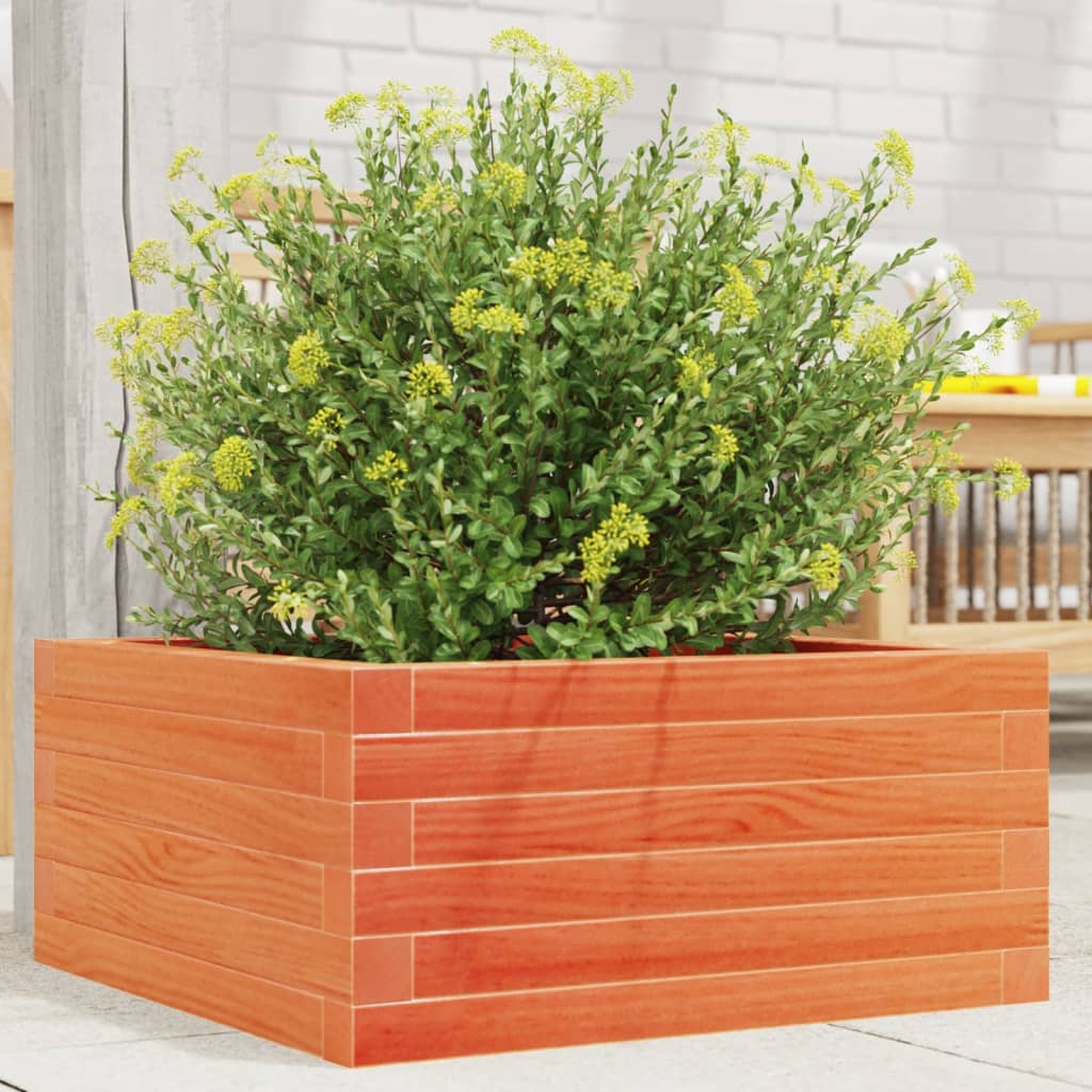 Brown Wax Garden Planter 50x50x23 cm Solid Pine Wood