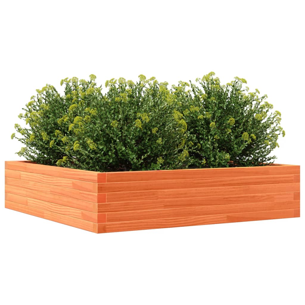 Brown Wax Garden Planter 100x100x23 Solid Pine Wood