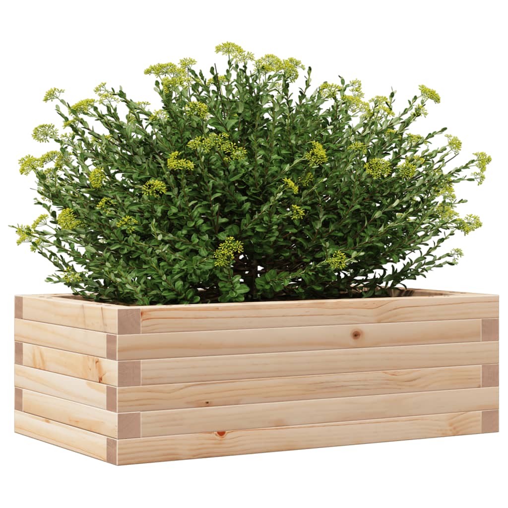 Garden planter 70x40x23 cm in solid pine wood