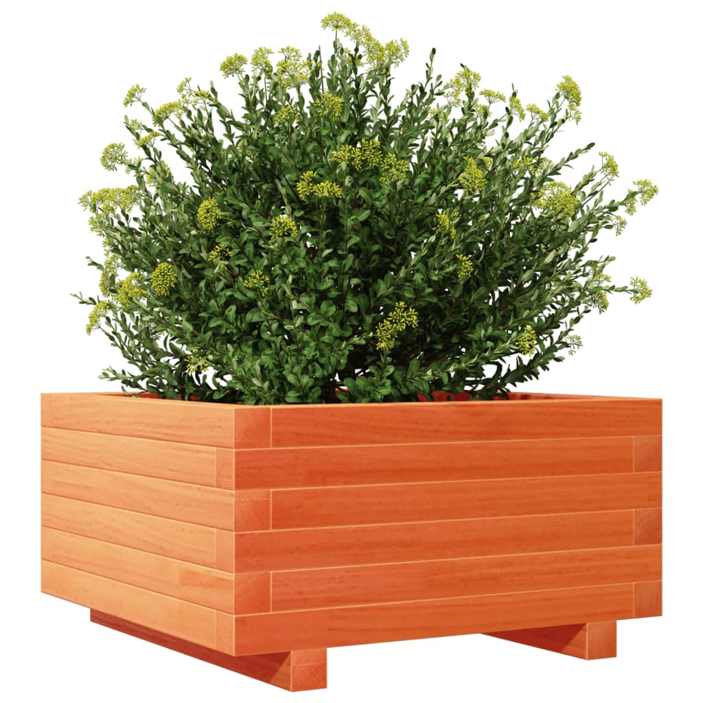 Fioriera Giardino Marrone Cera 50x50x26,5cm Legno Massello Pino