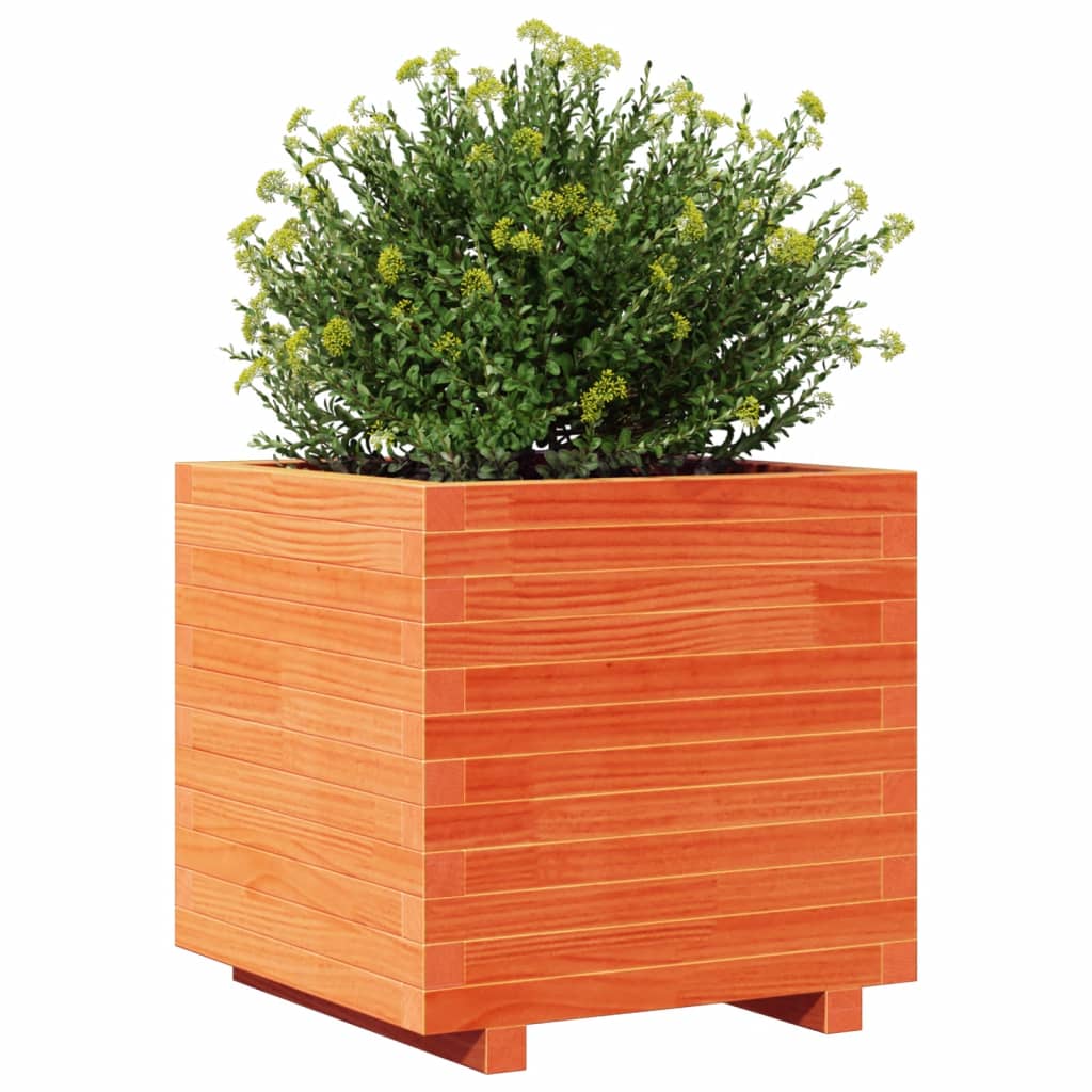 Brown Wax Garden Planter 50x50x49.5cm Solid Pine Wood