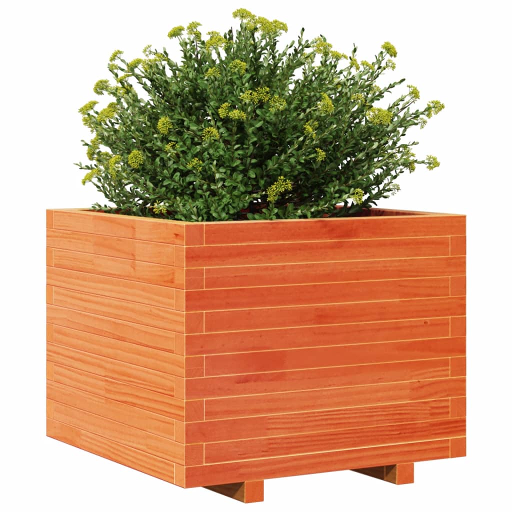 Fioriera Giardino Marrone Cera 60x60x49,5cm Legno Massello Pino