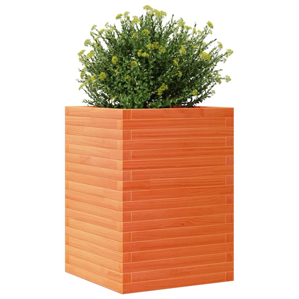 Fioriera Giardino Marrone Cera 50x50x68,5cm Legno Massello Pino