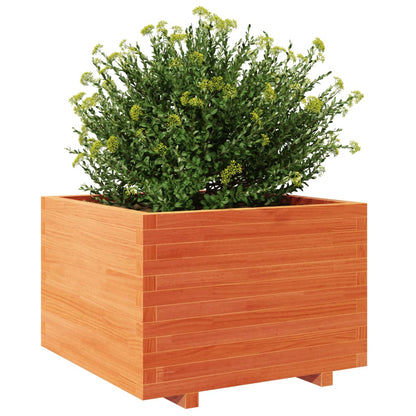 Fioriera Giardino Marrone Cera 70x70x49,5cm Legno Massello Pino