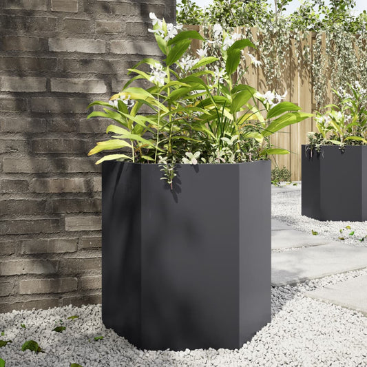 Fioriere da Giardino 2 pz Esagono Nero 46x40x45 cm Acciaio | homemem39