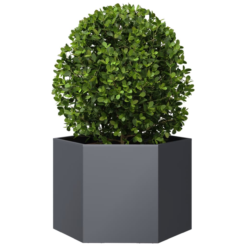 Fioriera da Giardino Antracite Esagono 69x60x45 cm in Acciaio | homemem39