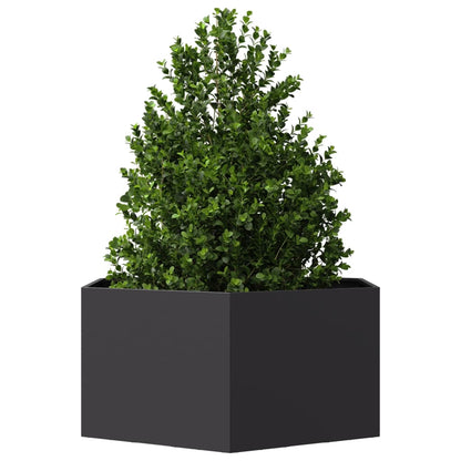 Fioriera da Giardino Nera Esagono 104x90x45 cm in Acciaio | homemem39