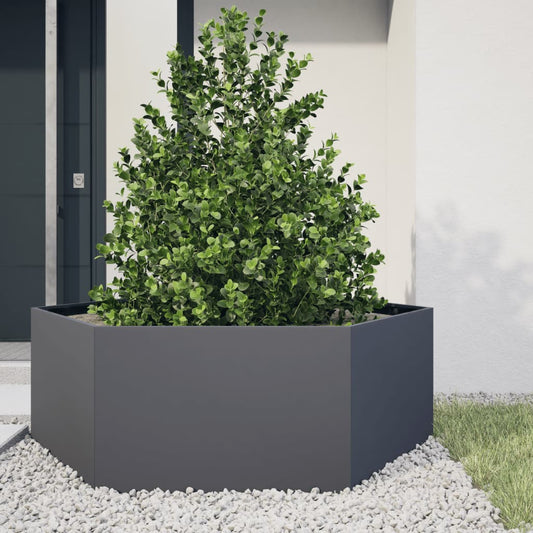 Fioriera da Giardino Antracite Esagono 138x120x45 cm in Acciaio | homemem39
