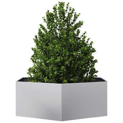 Fioriera da Giardino Esagono 138x120x45 cm in Acciaio Zincato | homemem39