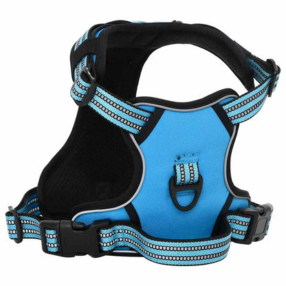Pettorina per Cani con Guinzaglio e Collare Regolabile Blu XL | homemem39