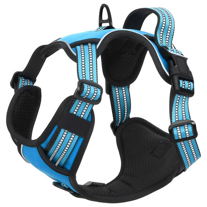 Pettorina per Cani con Guinzaglio e Collare Regolabile Blu XL | homemem39