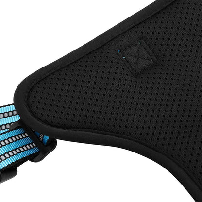 Pettorina per Cani con Guinzaglio e Collare Regolabile Blu XL | homemem39