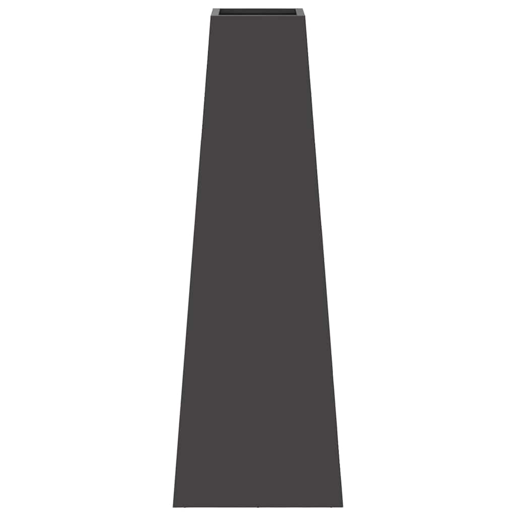 Focolare Nero 50 x 35 x 100 cm Acciaio