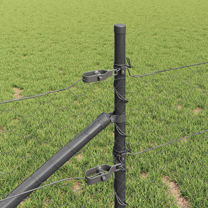 Recinzione in rete saldata con punte 10 x 0,8 m (L x H)