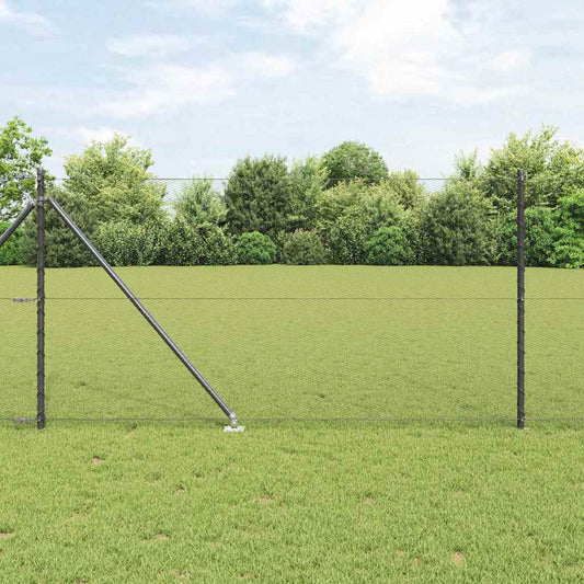 Recinzione in rete saldata con punte 10 x 1 m (L x H)