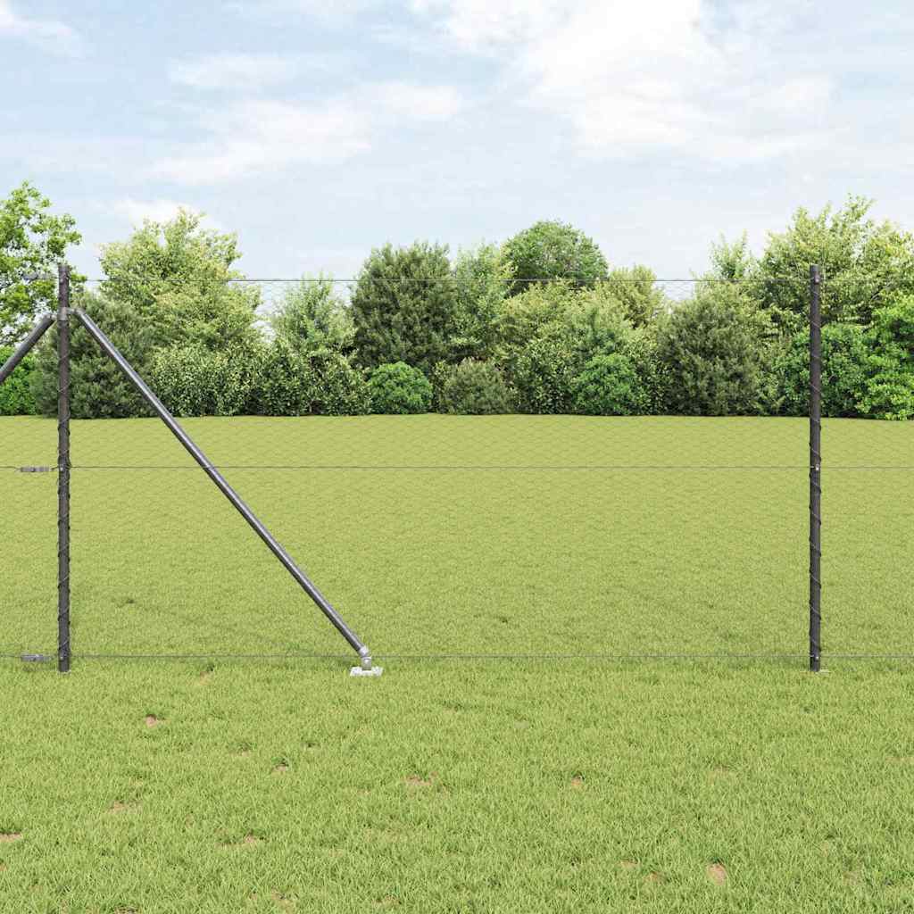 Recinzione in rete saldata con punte 10 x 1 m (L x H)