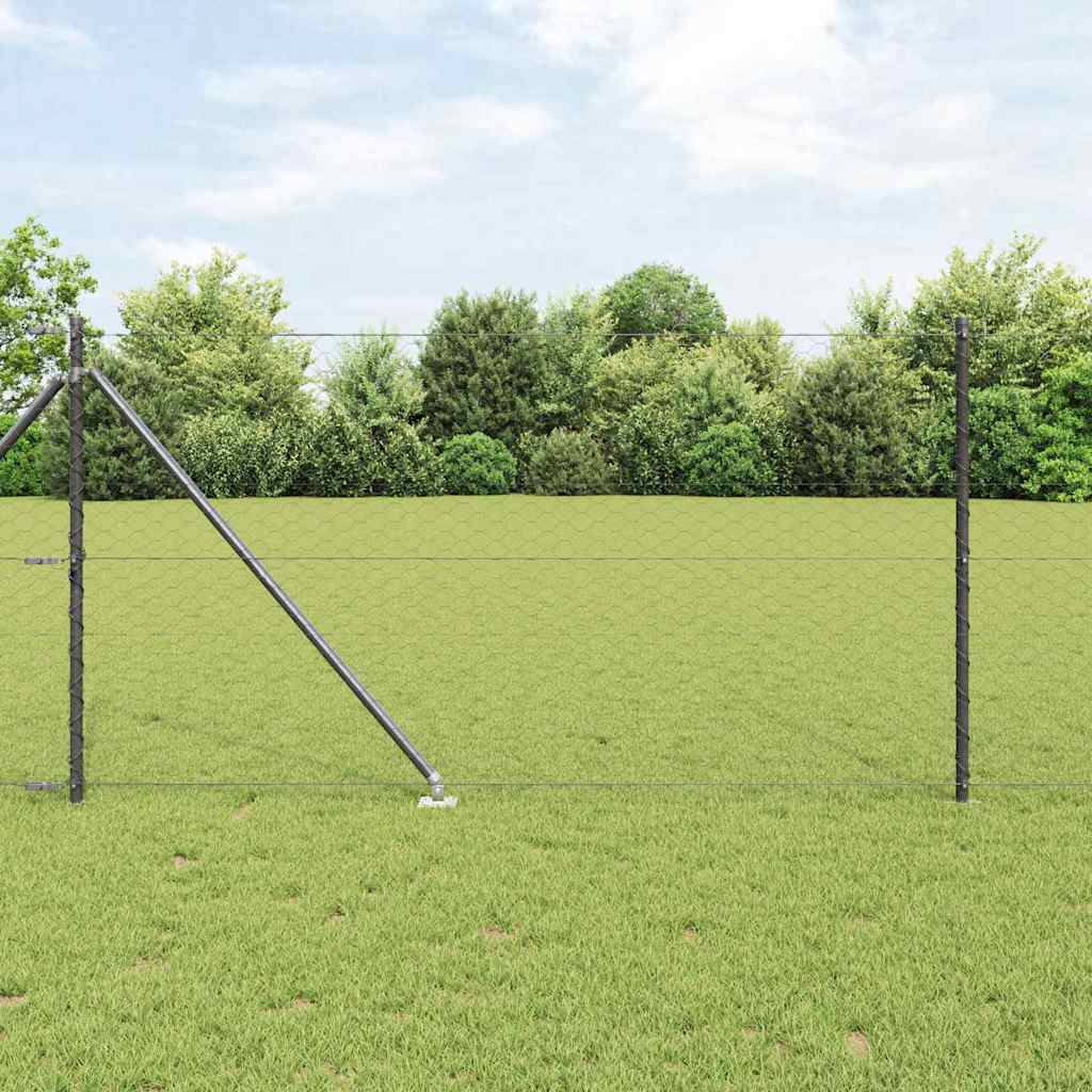 Recinzione in rete saldata con punte 10 x 1 m (L x H)
