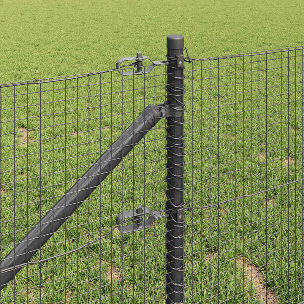 Recinzione in rete saldata con punte 25 x 1 m (L x H)