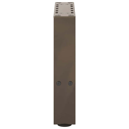 Gambe per Tavolino da Caffè Naturale 2 pz 30x(30-31) cm Acciaio