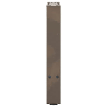 Gambe per Tavolino da Caffè Naturale 2 pz 28x(42-43) cm Acciaio
