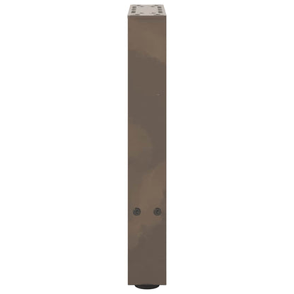 Gambe per Tavolino da Caffè Naturale 2 pz 38x(42-43) cm Acciaio