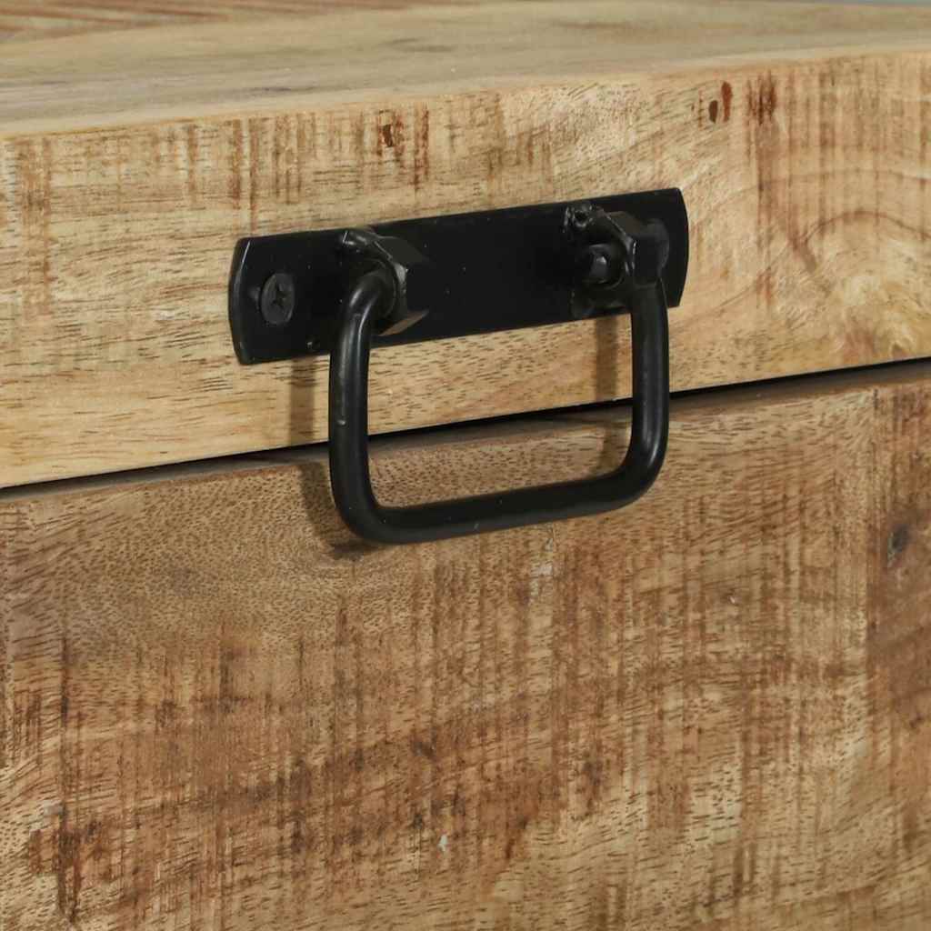 Cassapanche di stoccaggio con archiviazione 60 x 30 x 30 cm