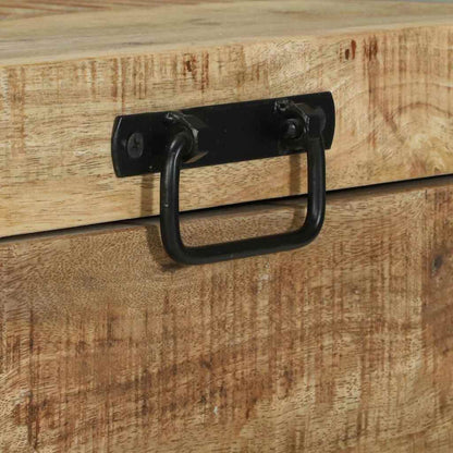 Cassapanche di stoccaggio con archiviazione 60 x 30 x 30 cm