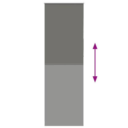 Tenda a Rullo Oscurante 65x210 cm Larghezza Tessuto 60,7 cm | homemem39