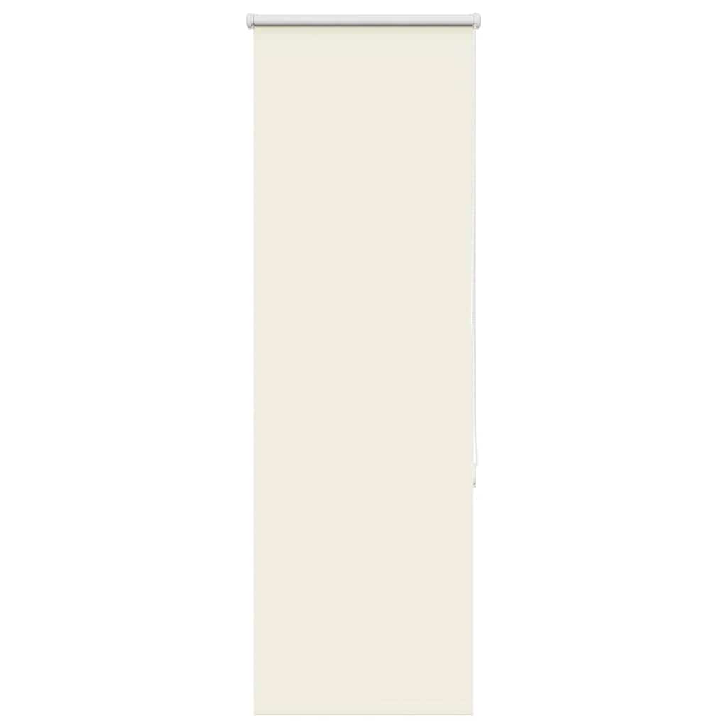 Tenda a Rullo Oscurante 60x130 cm Larghezza Tessuto 55,7 cm | homemem39