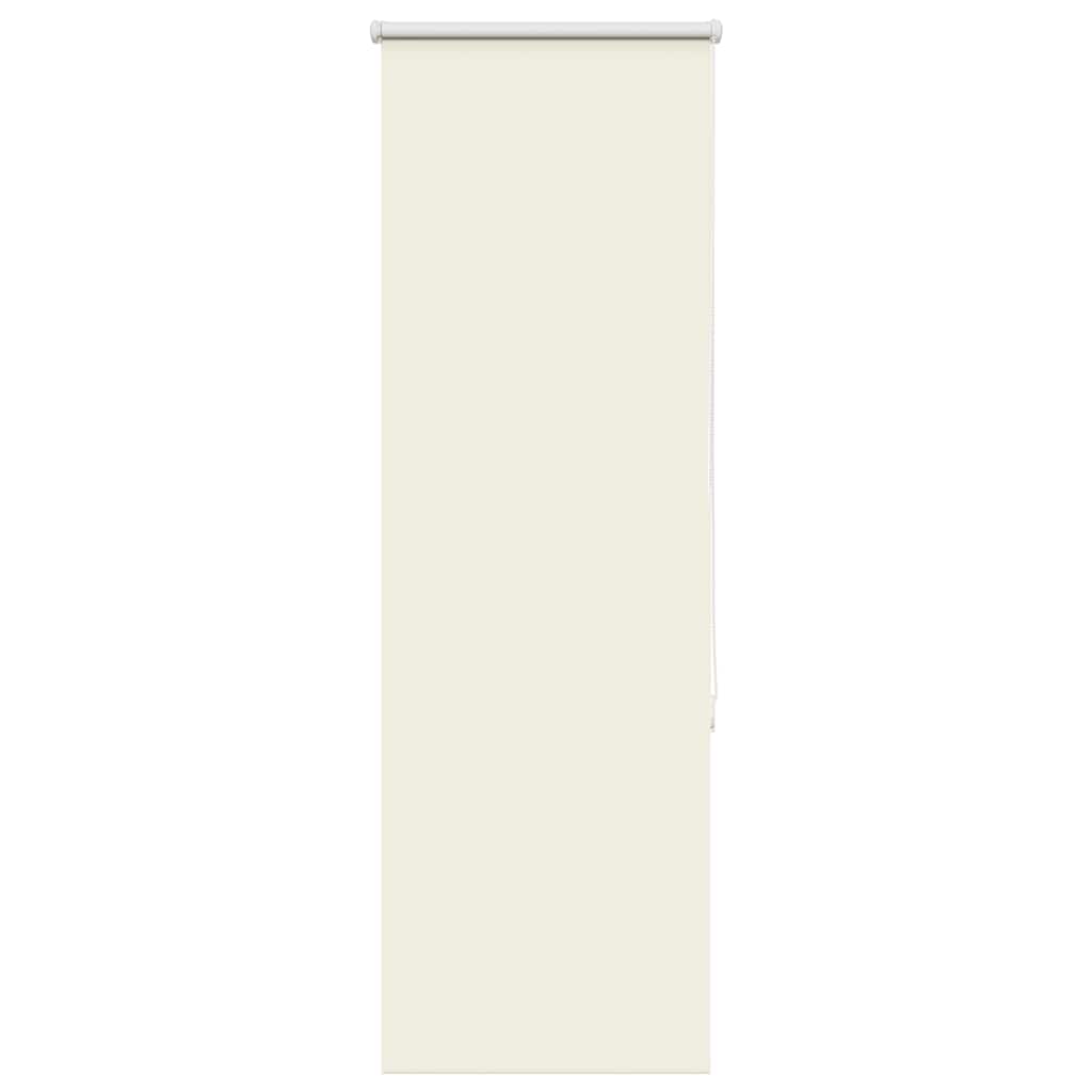 Tenda a Rullo Oscurante 60x175 cm Larghezza Tessuto 55,7 cm
