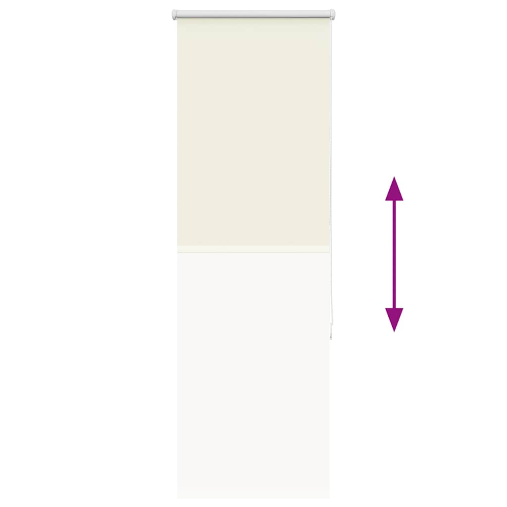 Tenda a Rullo Oscurante 60x175 cm Larghezza Tessuto 55,7 cm | homemem39