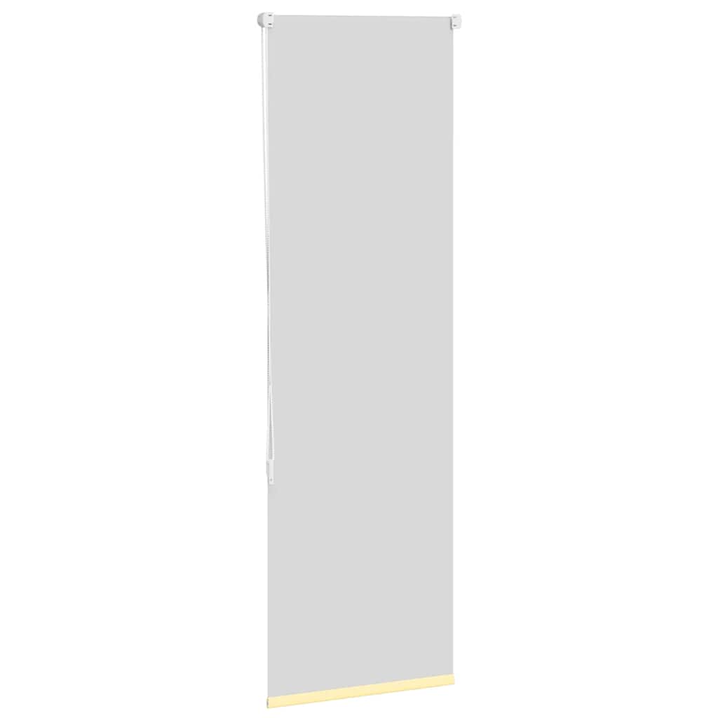 Tenda a Rullo Oscurante 60x150 cm Larghezza Tessuto 55,7 cm