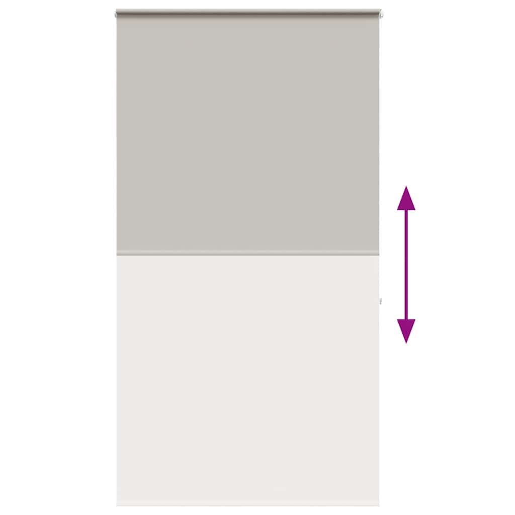 Tenda a Rullo Doccia con Cassonetto 120x240cm Larghezza Tessuto | homemem39