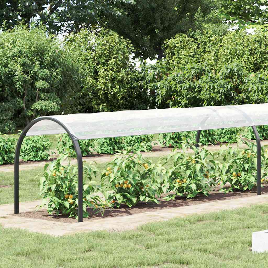 Telone Trasparente con Occhielli 1x12 m in Polietilene | homemem39
