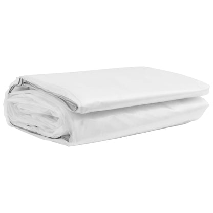 Telone Trasparente con Occhielli 2x8 m in Polietilene