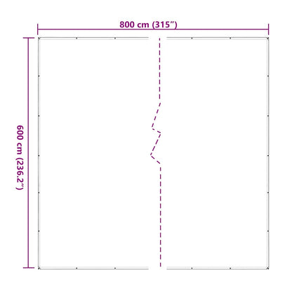 Telone Trasparente con Occhielli 6x8 m in Polietilene | homemem39