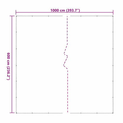 Telone Trasparente con Occhielli 6x10 m in Polietilene