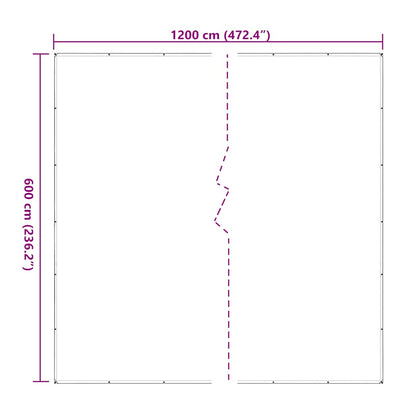 Telone Trasparente con Occhielli 6x12 m in Polietilene | homemem39