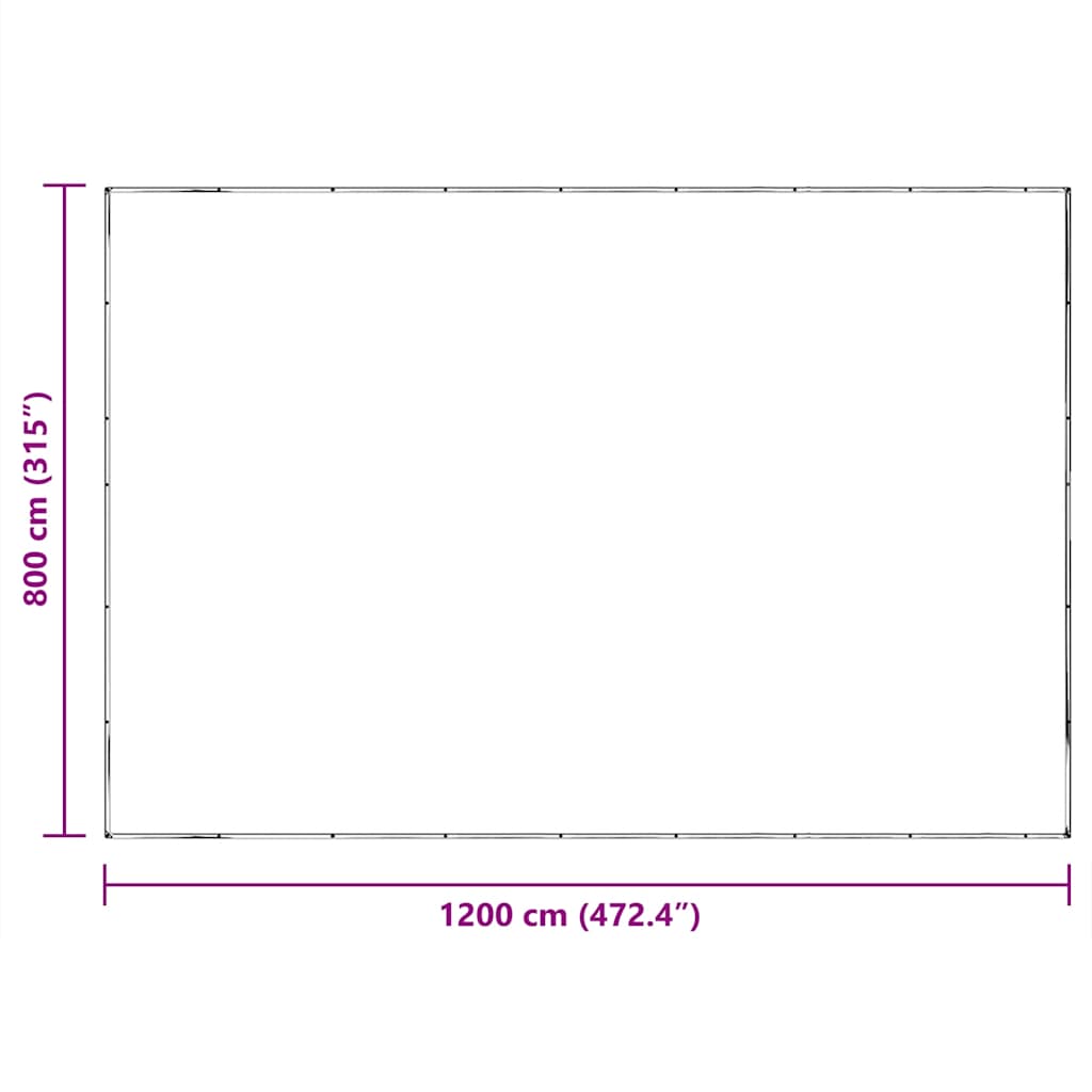 Telone Trasparente con Occhielli 8x12 m in Polietilene | homemem39