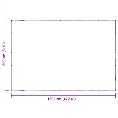 Telone Trasparente con Occhielli 8x12 m in Polietilene | homemem39