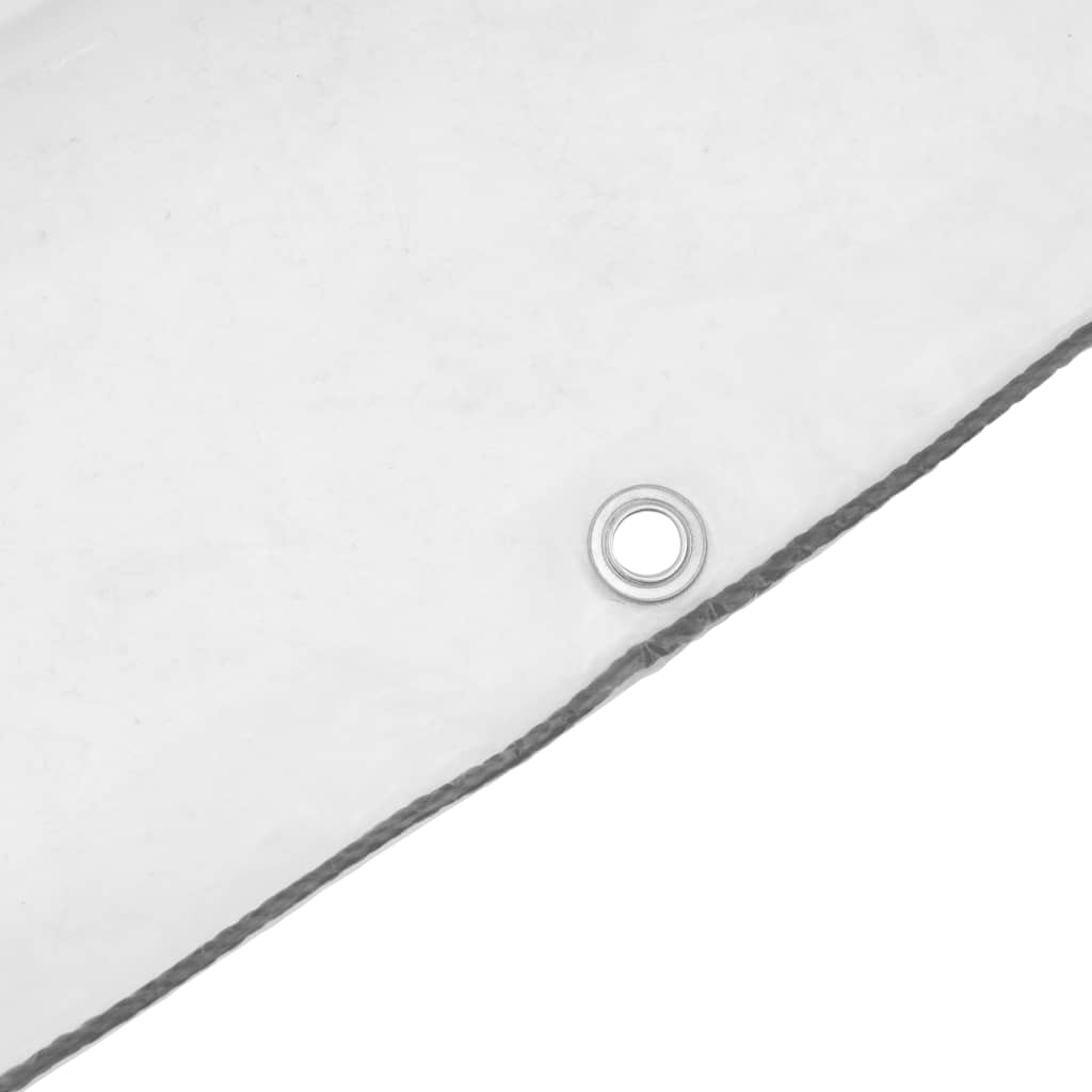 Telone Trasparente con Occhielli 12x12 m in Polietilene