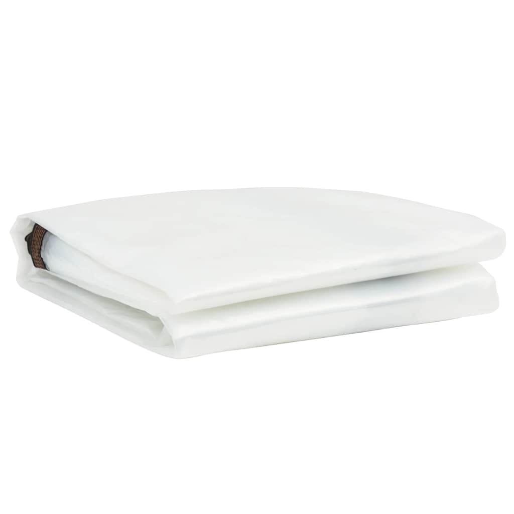 Telone Trasparente con Occhielli 1x2 m in Polietilene | homemem39