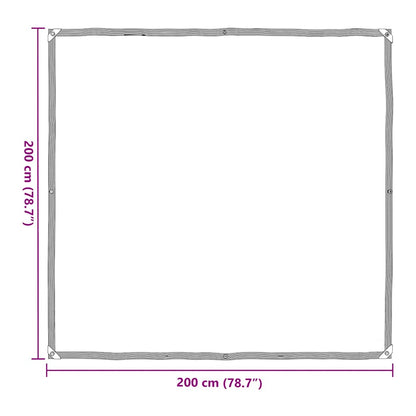 Telone trasparente con occhielli 2x2 m in polietilene | homemem39